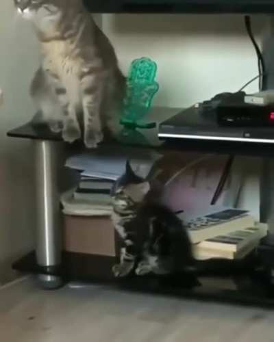 I didn’t want to scare you