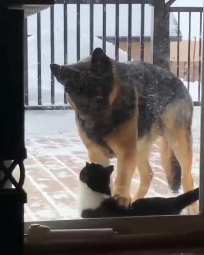 I love you too, but you need to calm down