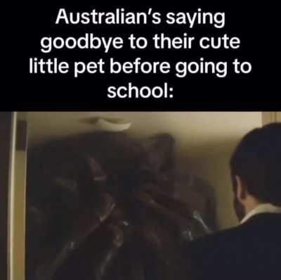 Loser pet