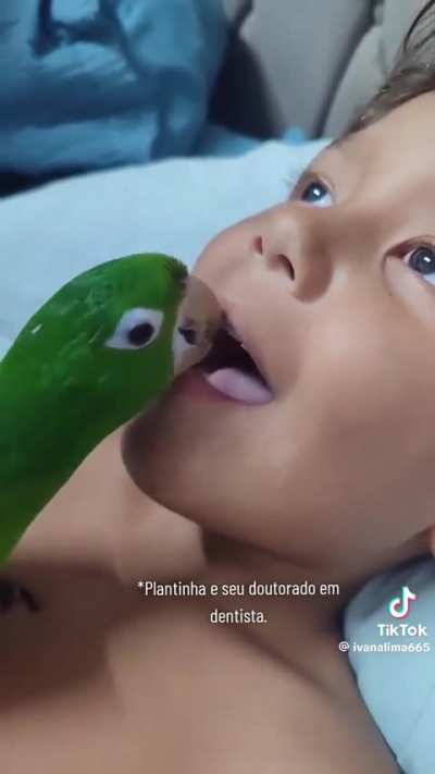 o tiradentes