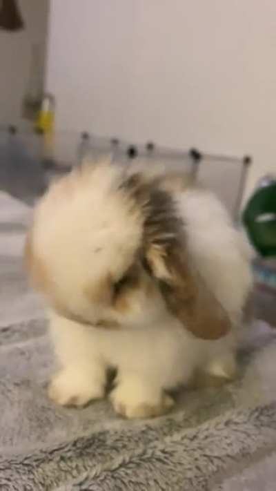 clean boy