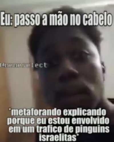 abelhã