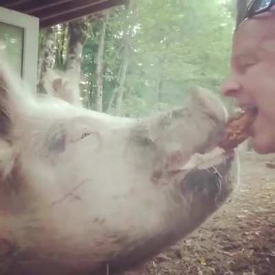 Josh from Odd Man Inn drove 30 miles for a piece of vegan fried chicken to share with Hanai