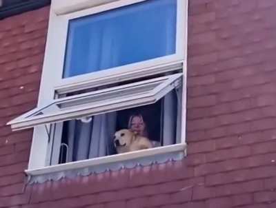 Doggy go brrrr