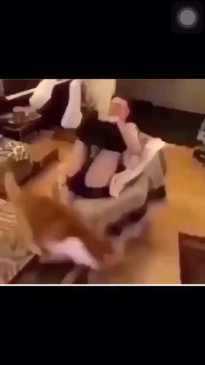 Bit more than he bargained for in that toot