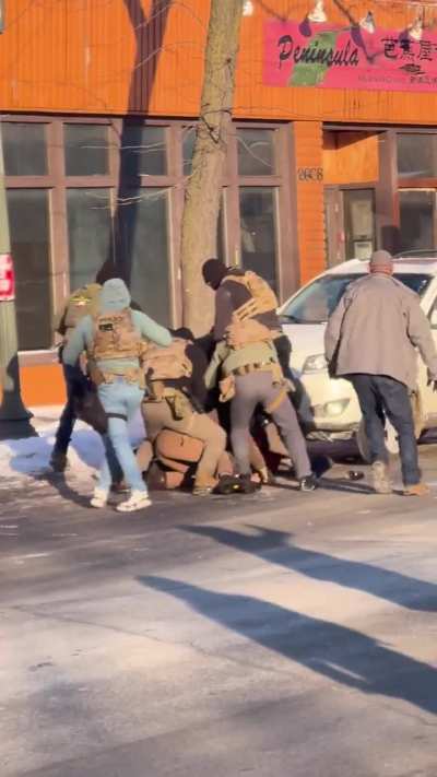 New video of 1/24 ICE shooting shows victim had both hands on the ground when shot