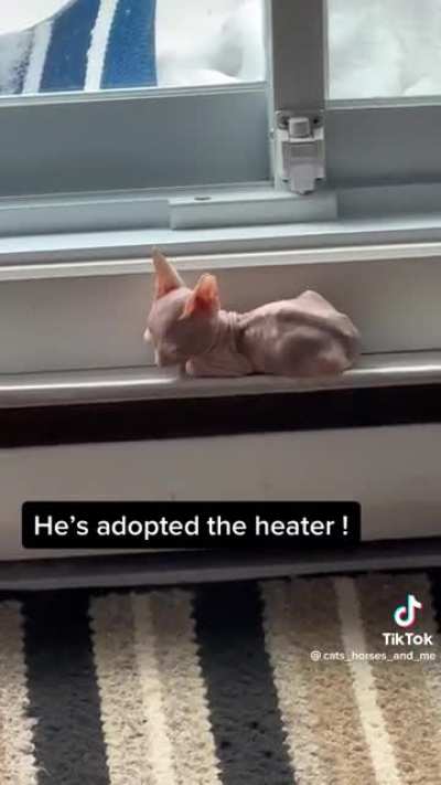 I want to knit him a smol sweater. 🥹
