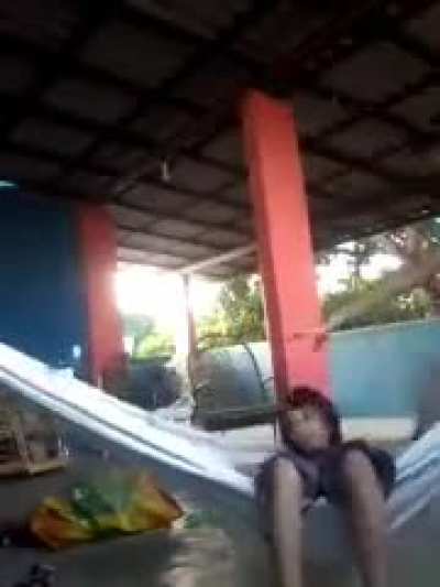 Voa passarin