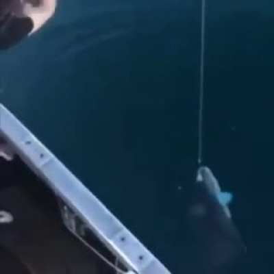 I wanna say nice technique... but no.