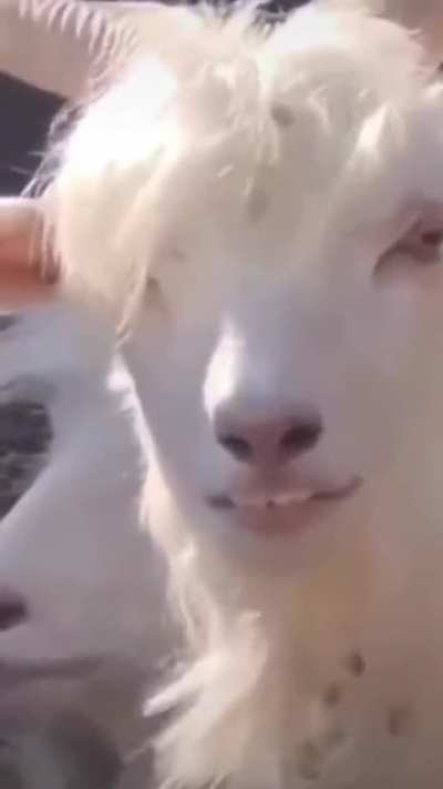 Trying hard not to flirt with him