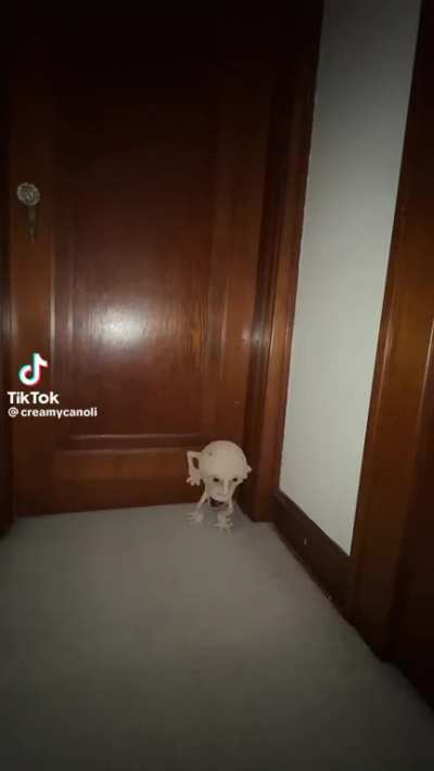 He should have stayed in the corner