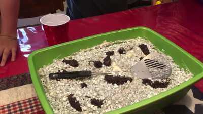 I made a cake that looks EXACTLY like a cat's dirty litterbox. I served it to the family on July 4th.