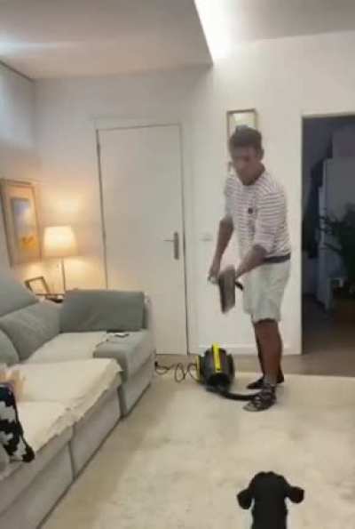 blursed_second clip's dog