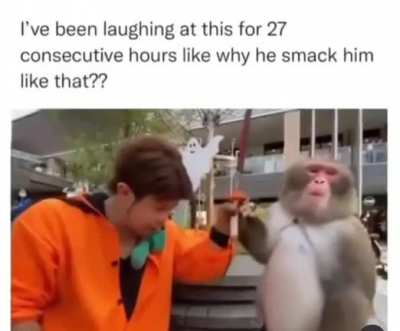 New planet of the apes looks good