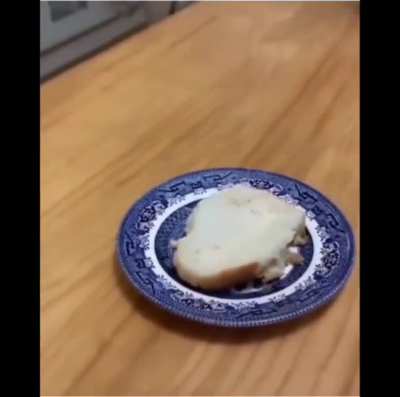 Skilled chef
