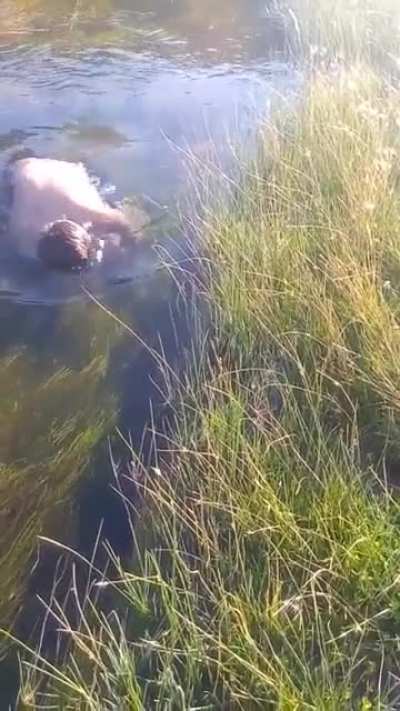 Pesca a mano de Truchas