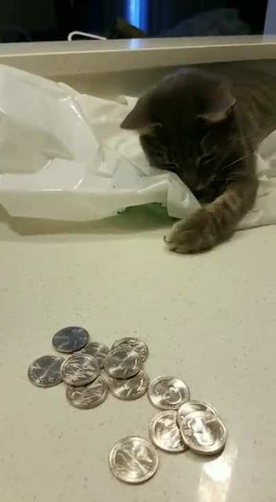 Hitcat takes his share of the loot