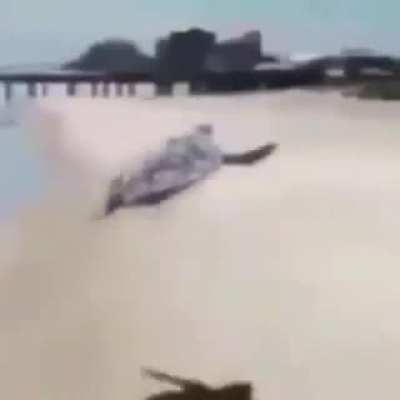 4080