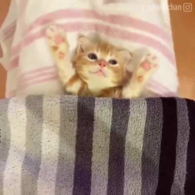 My mummy Loves me