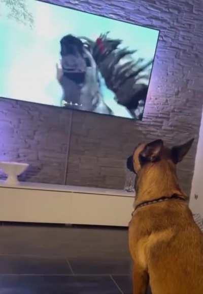 He doesn't seems impressed with it.