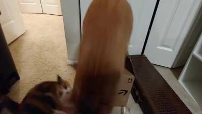 BOING