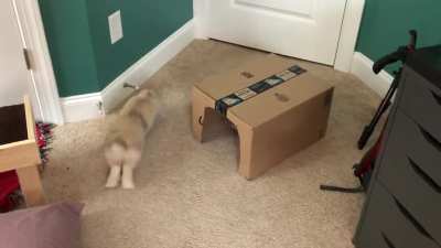 Magic box!