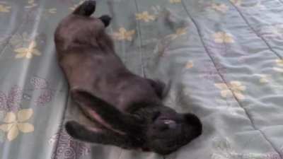 Flop!