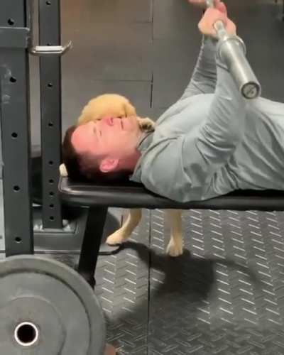 Que fofinho!!
