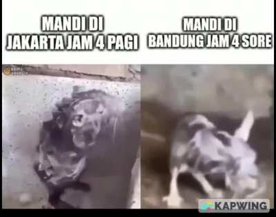 Dingin euy