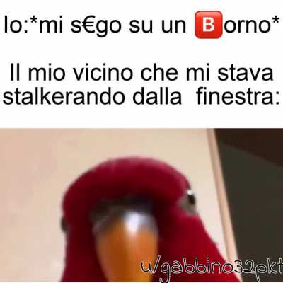 Maledetti vicini