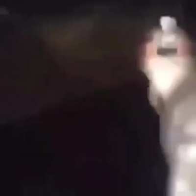 Dear hits truck and gets shot