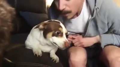 Be quiet, Mister Bubz!