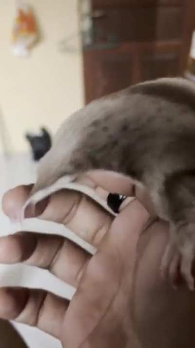 My beauty and beauty