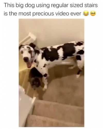 Walking down the stairs