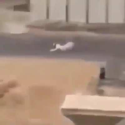 İyiki bu flair var ha yoksa linçlenme olasılığım vardı :q