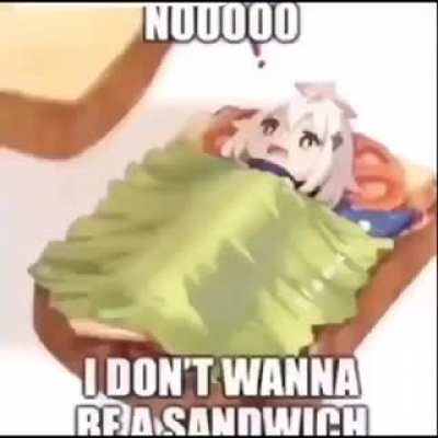 Não quero este sanduíche