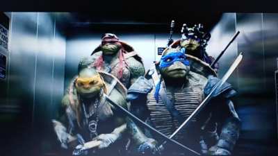 Turtles!