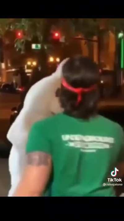 El conejo malo