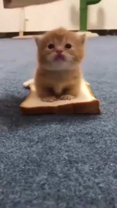 Не кушой