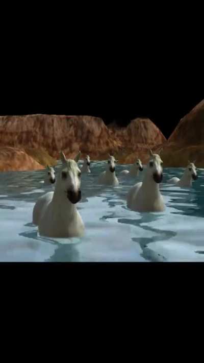 Honse party