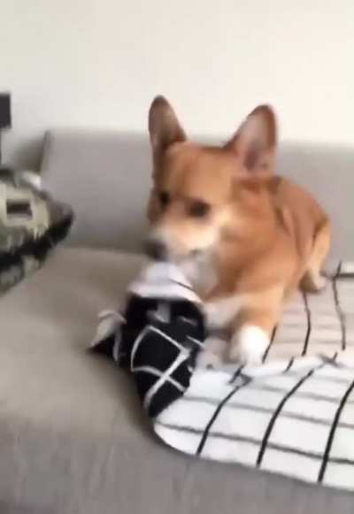 He's a pro