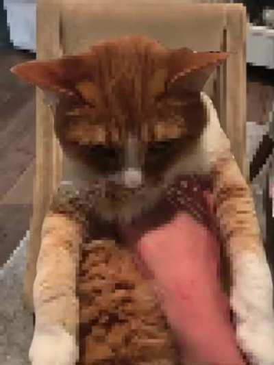 😡