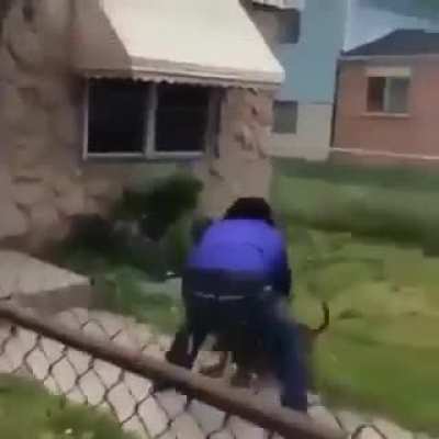 Guy gets attacked by dog and successfully fights it off