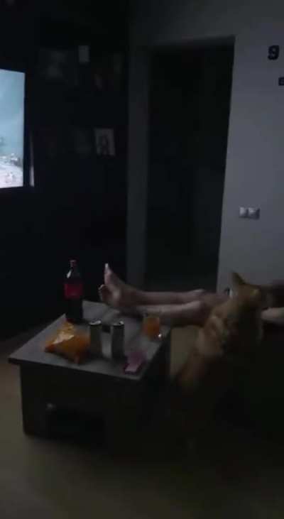 Average PS5 gamer in their mid 30s
