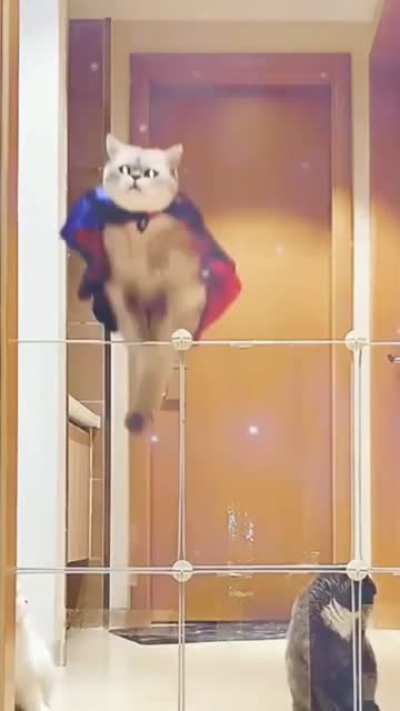 CatCostumes