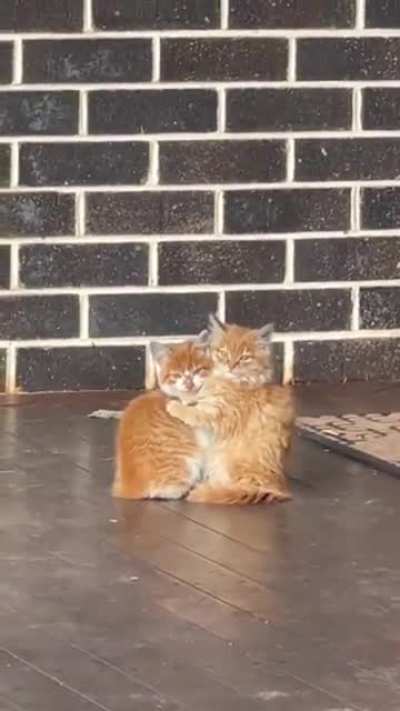 The sweetest thing!