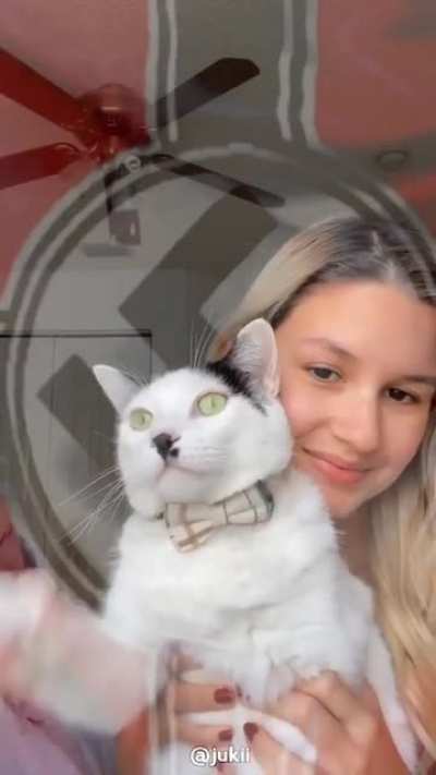 🐱