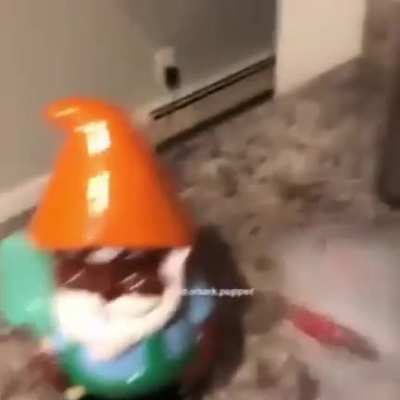 ._.XD