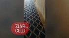 Moderator din rromania bate la uşa unui WAGTHROman