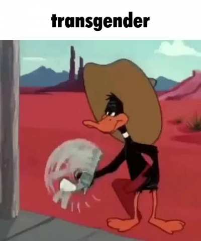 Penis